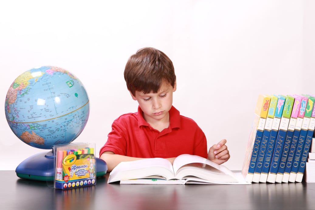 Little Boy Reading a Book